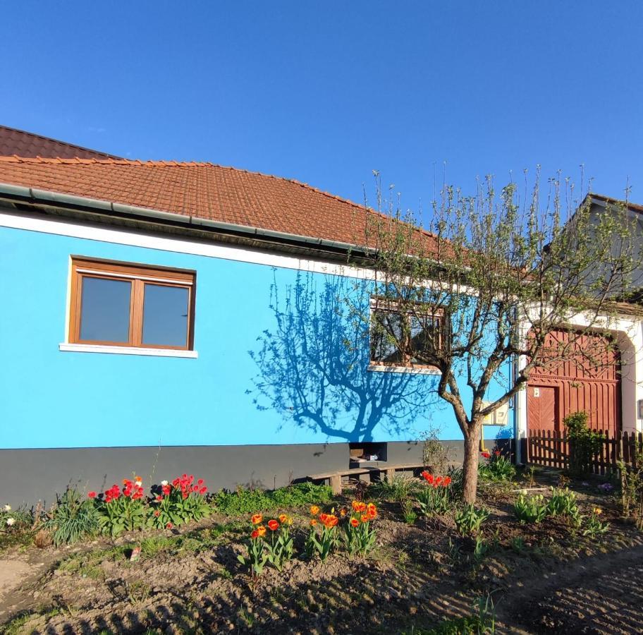 Blue Home Avrig Dış mekan fotoğraf