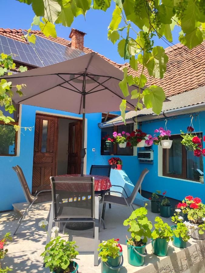 Blue Home Avrig Dış mekan fotoğraf